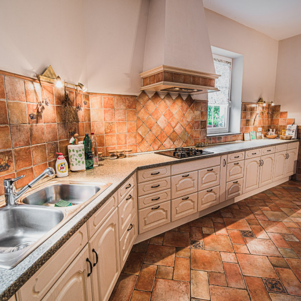 Kitchen, Villa Adriatic Alps, Villa Adriatic Alps, Postojna Prestranek, Slovenia