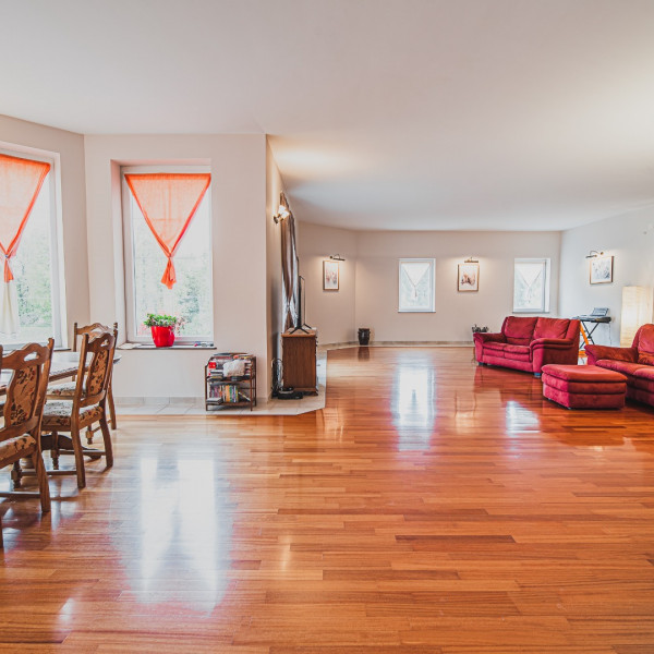 Living room, Villa Adriatic Alps, Villa Adriatic Alps, Postojna Prestranek, Slovenia