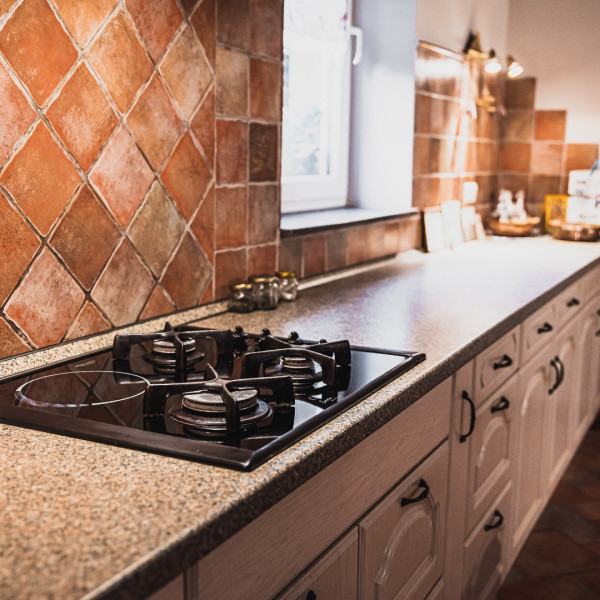 Kitchen, Villa Adriatic Alps, Villa Adriatic Alps, Postojna Prestranek, Slovenia